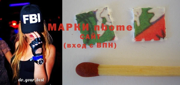 индика Нефтекумск