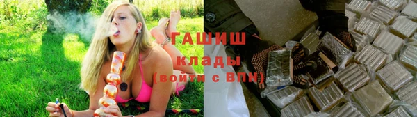 дмт Анива